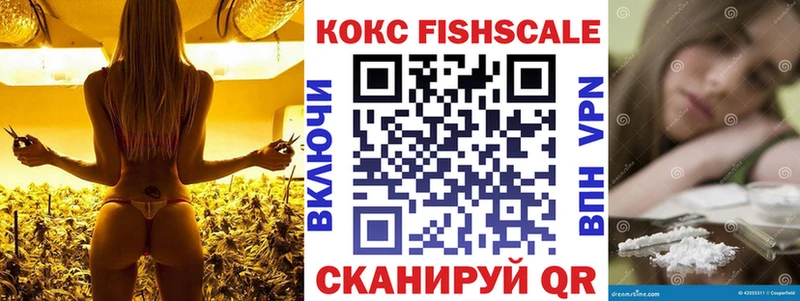 Кокаин FishScale  blacksprut tor  Ельня 