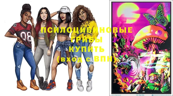 стафф Белокуриха
