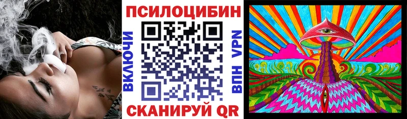 Псилоцибиновые грибы прущие грибы  Ельня 